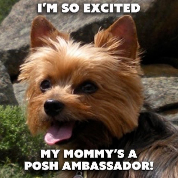 Angelas Avenue Other - Thank You!🥰💃🏻💜💙💚💛🧡❤💖